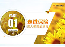 深圳陽光保險(xiǎn)集團(tuán)ＰＰＴ 商務(wù)比賽PPT制作