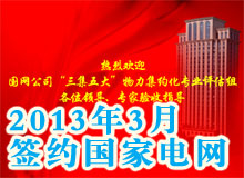 國(guó)家電網(wǎng)ppt制作     工作匯報(bào)ppt