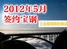<b>寶鋼P(yáng)PT設(shè)計(jì)制作 項(xiàng)目介紹PPT</b>